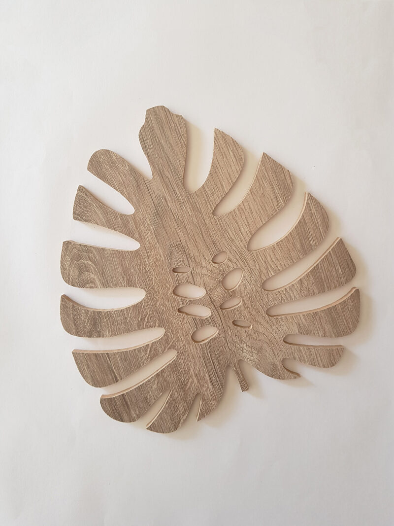 HOJA MONSTERA Mediana - Imagen 2