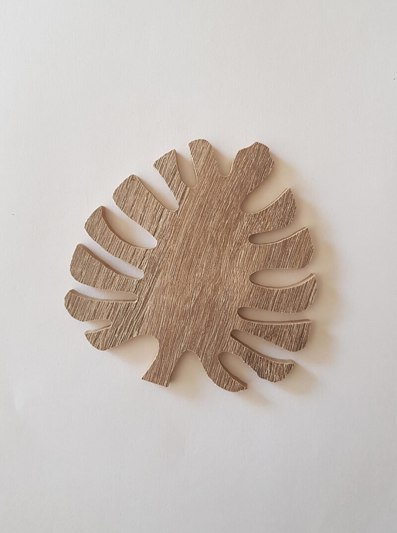 HOJA MONSTERA Mini x 6 - Imagen 2