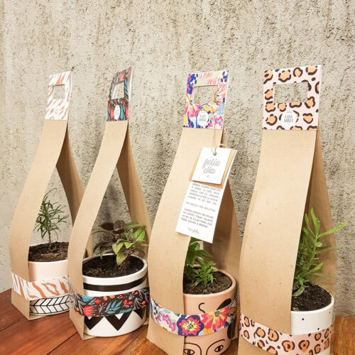 Macetas&plantita