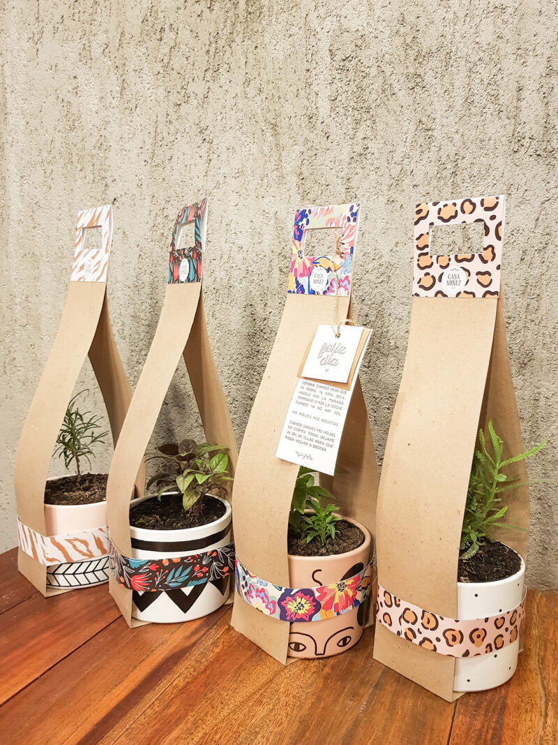 Macetas&plantita