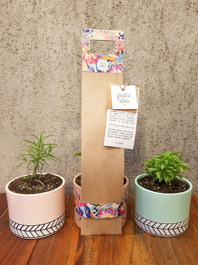 Macetas&plantita - Imagen 2